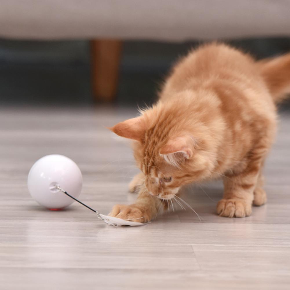 צעצוע לחתול כדור חשמלי מסתובב עם תאורת לד