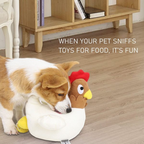 חנות צעצועים לכלבים