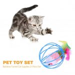 צעצועים לחתול