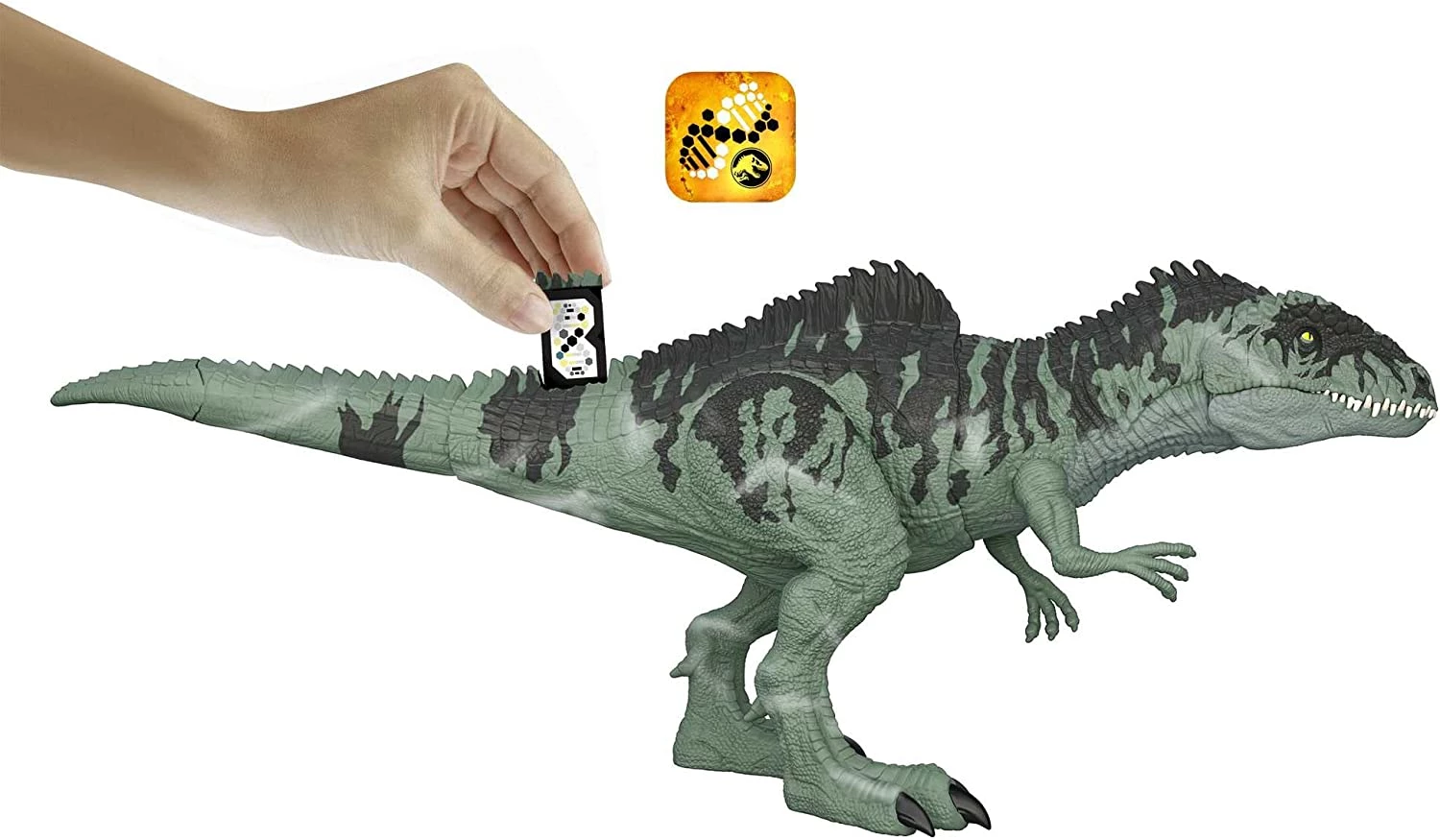 צעצועי דינוזאורים לילדים | בובת דינוזאור | גיגאנוטוזאורוס